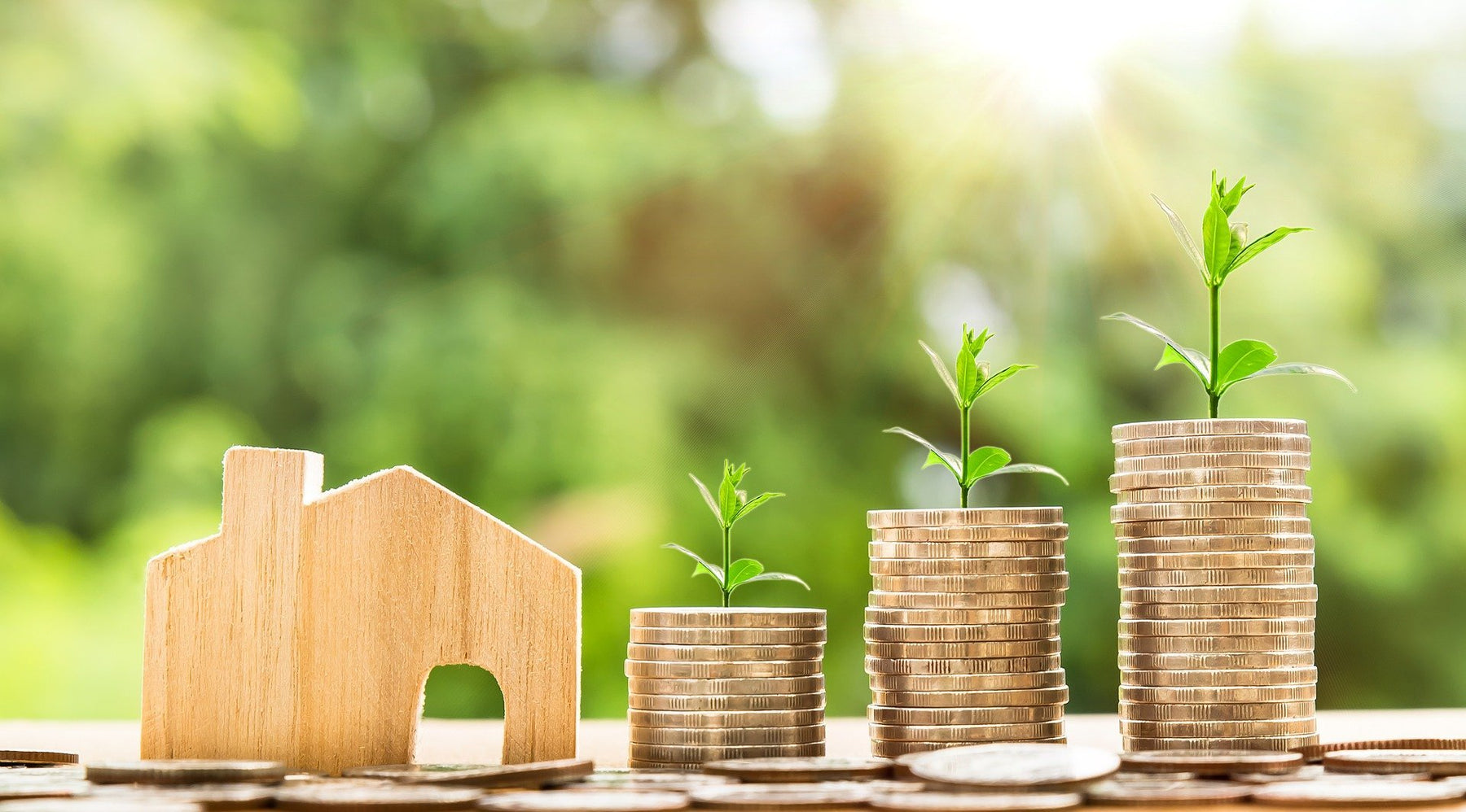 Ecobonus 2019: Agevolazioni per il Rinnovabile
