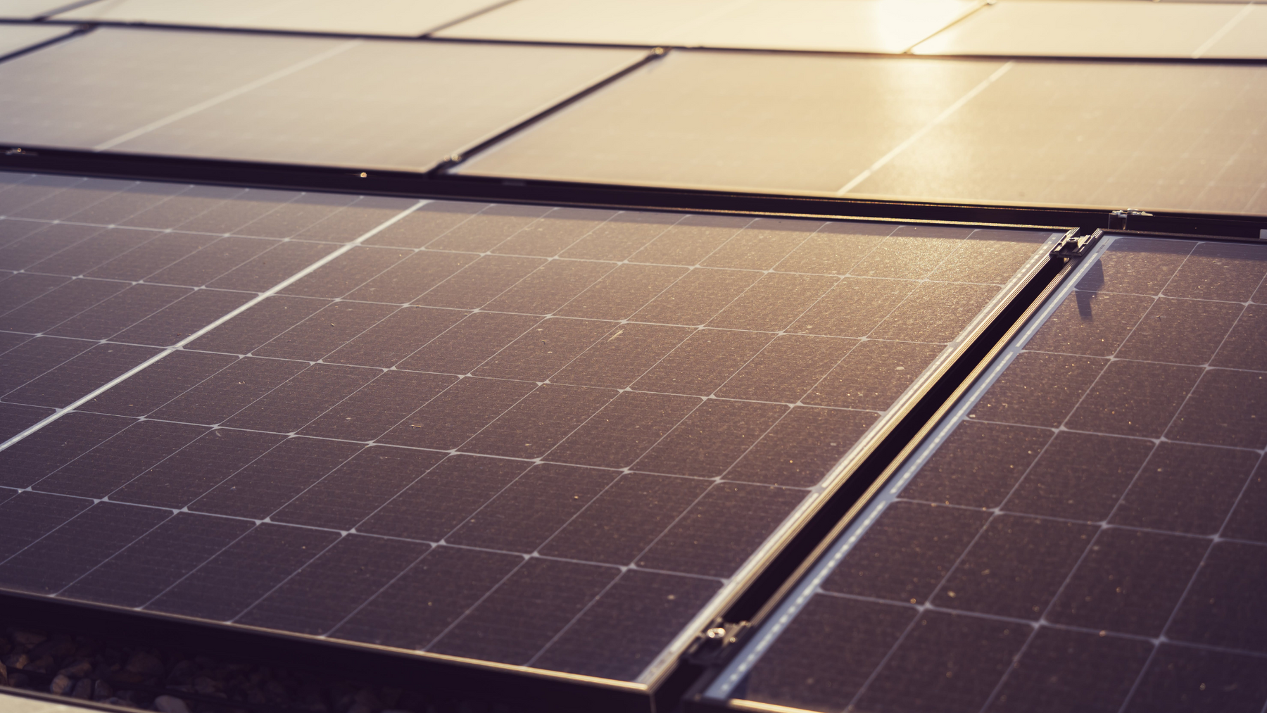 Fotovoltaico 2024: Tutti i Bonus Spiegati nel Dettaglio