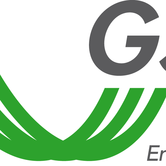 Guida Completa al GSE: Tutto Quello che Devi Sapere